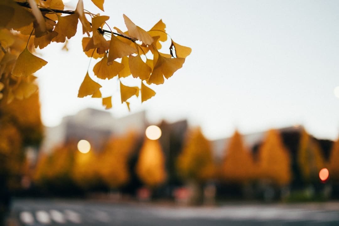 https://img0.utuku.imgcdc.com/650x0/ent/20250804/f4215b8a-faec-445c-858c-bc6181ccda5a.jpg